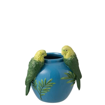 Vaas papegaaien S