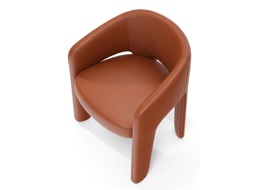 Bovenkant Armstoel Elefantino 2033 leder cognac koper Draenert