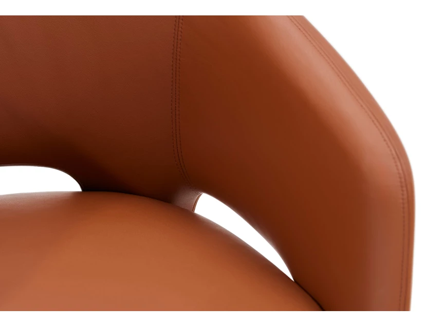 Detail Armstoel Elefantino 2033 leder cognac koper Draenert
