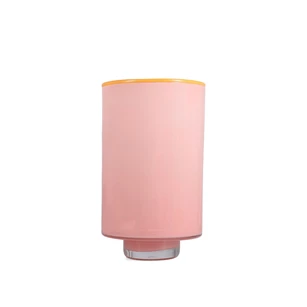 Vase 15xh26cm bludh pink Milo ONA