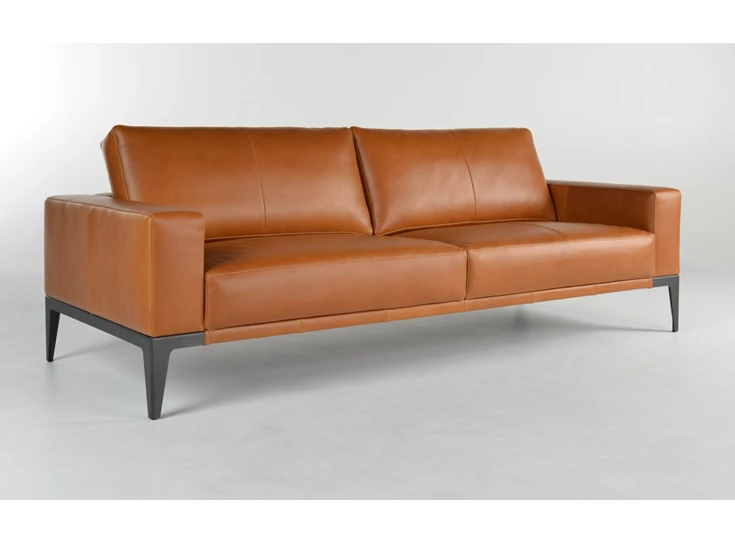 Salon Renio canapé 3-zit leder cognac Bert Plantagie