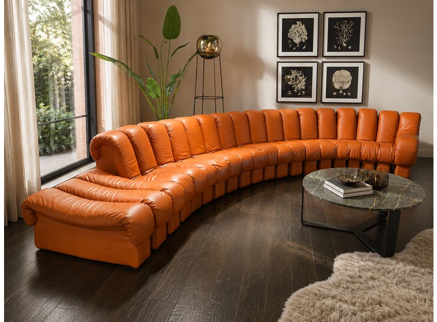 Sfeerfoto salon Snake DS-600 deSede