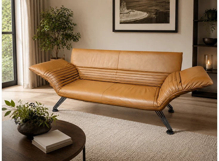 Salon canapé Desede Wing ds-142 leder