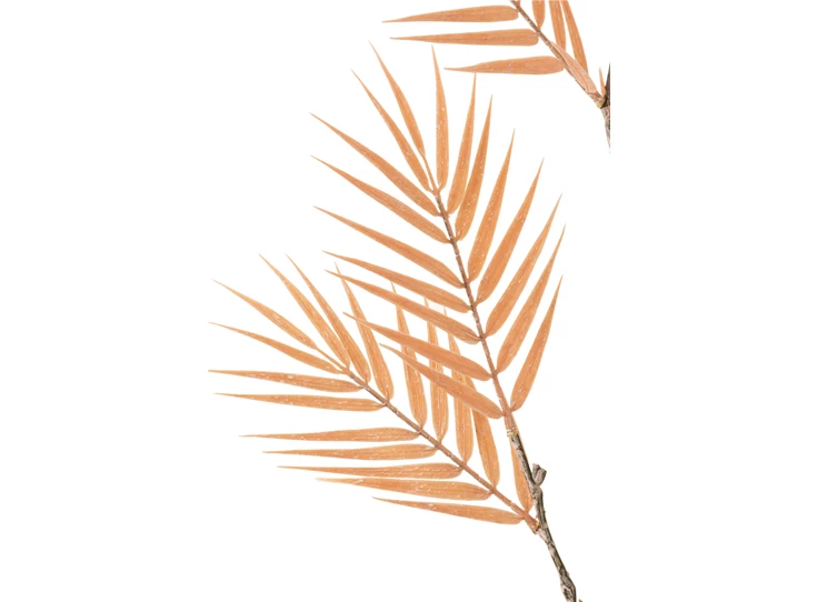 12411 J-Line Jolipa Bamboetak tijn 2-delig Zalm Detail veer