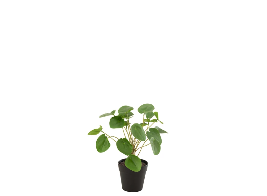 12526 J-Line Jolipa Kunstplant Pilea Peperomioides Groen