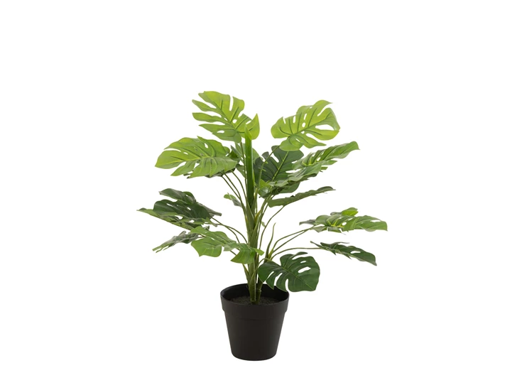 12527 J-Line Jolipa Kunstplant Philodendron S Groen