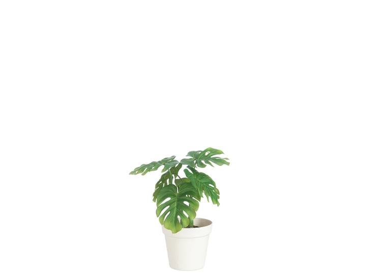80198 J-line Jolipa Kunstplant Philodendron in Pot M